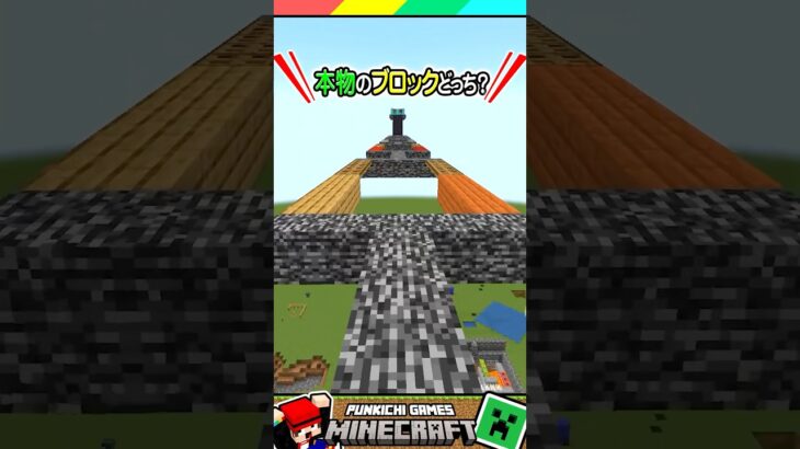 このブロックどっちが本物？？ #マイクラ #マインクラフト #Minecraft #まいくら #クイズ #ゲーム #Shorts