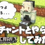 【Minecraft】けだまのマイクラ生活 #３ ～エンチャントとやらをしてみたい～【#新人Vtuber/尨ノ乃けだま】