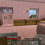 エンチャント本釣れるかな？廃坑探索もしたい！てぃくめそ【Minecraft】＃5