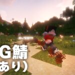 【Minecraft】Hegadelだけの最強魔法作ってもらいました　（ステラフィルワールド)