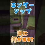 【Minecraft】ついにエリトラゲット　#shorts #マイクラ  #マインクラフト