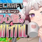 【Minecraft】遂に初建築だー！！！！✒️🌪️【#個人vtuber】