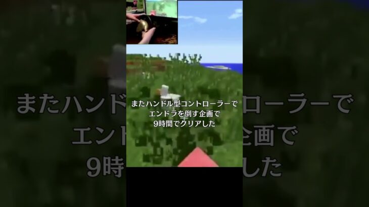 マイクラPVP絶対王者Technoblade #マイクラ#technoblade