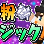 骨粉で無限にブロック増やします!!スニッファーの家づくりの建築素材あつめ!!海でマイクラ実況Part129【マインクラフト】