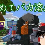 【マイクラ】魔術れ夢の国マルチ Part29【ゆっくり実況】