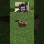 Random tnt vs axolotl in minecraft mod #shorts #viralshorts