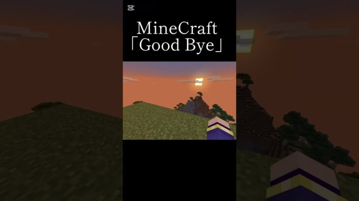 See you someday#shorts #minecraft #mimecraft #マイクラ #マイクラ統合版 #まいくら #感動する話 #感動 #感動的な話 #悲しい #バッドエンド