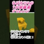 ＃Shorts  ＃ちびカラス292【1分間建築チャレンジ】＃118　＃Vtuber #中学生vtuber #関西弁 #Minecraft 　#マインクラフト