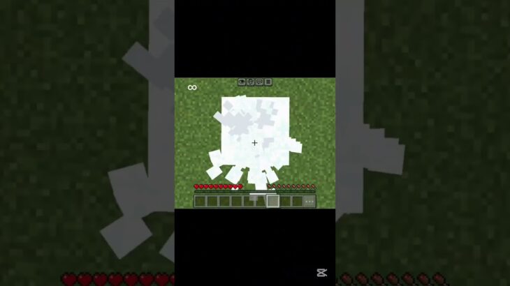 Survival Fall Distance 生存落下距離 #shots #minecraft #中学生 #マイクラ #マインクラフト