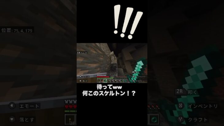 スプラだけじゃなくマイクラもやります。だけどSwitchしか持ってないからさ、、お金貯めます、、 #ひつじ #マイクラ#Minecraft#ゲーム