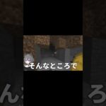 V、表情豊かで可愛すぎる。 #マイクラ #マインクラフト #配信切り抜き #avvy