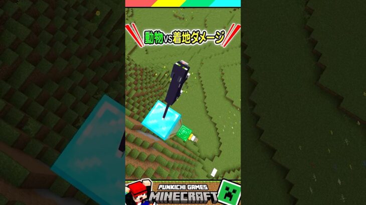 マイクラの動物VS着地ダメージ！#マイクラ #マインクラフト #Minecraft #まいくら #クイズ #ゲーム #Shorts