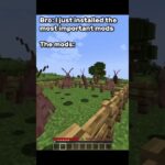 What are these mods?  #feedshorts #minecraft #viralvideo