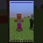 all Minecraft mods 💀 #minecraft #shots