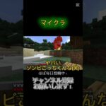 村に着いたら色々カオスな状況でした#マイクラ #ゲーム配信  #funnyshort