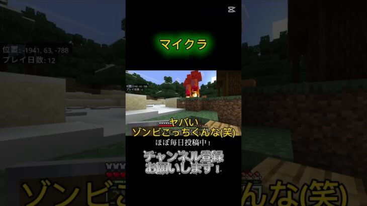 村に着いたら色々カオスな状況でした#マイクラ #ゲーム配信  #funnyshort