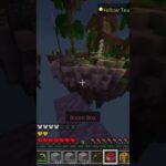 これデュオ，，#マイクラ #hive #初心者#スカイウォーズ#なんかすみません #きまづ~過ぎてやられその後オーバーキルされた〜-