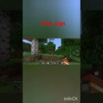 how to get plus sign in Minecraft #minecraft #gaming #shortfeed #minecraftguide #trendingshorts #1k