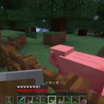 #マイクラjava版⭐️vol.38 #エンチャントのためにレベルアップ 　#mac で １から開始【マイクラ実況】