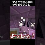 マイクラ初心者がやりそうなこと　#マイクラ #minecraft #明日の私に幸あれ