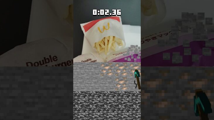 ダブチ＆てりやき＆ポテト発見⛏️🤩🎉#マイクラ#minecraft #マック#マクドナルド