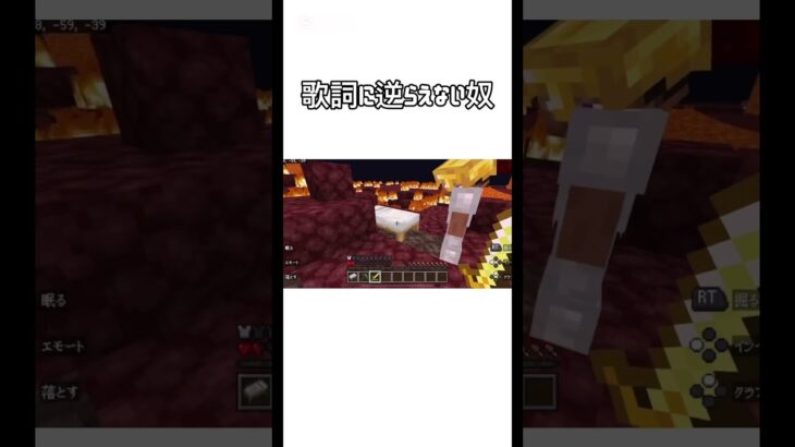 【歌詞に逆らえないやつ】 #マイクラ #minecraft #ネタ