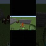 マイクラの謎 #マイクラ #minecraft #マインクラフト #まいくら
