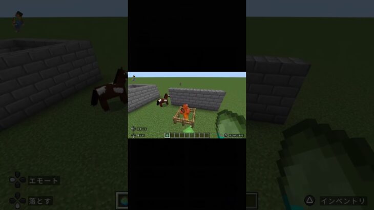 マイクラの謎 #マイクラ #minecraft #マインクラフト #まいくら