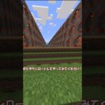 マイクラミスしたら即終わるアスレチック  #minecraft  #マイクラ