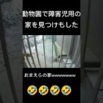 おまえらの家を見つけもした🤣🤣🤣🤣🤣 #イキリ #minecraft #キッズ #マイクラ #フォートナイト #マインクラフト #障害者 #ゲーム実況 #障害者手帳 #実況