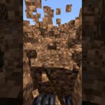 壊した土は何個？　#minecraft #マイクラ #土