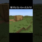 家がなくなっちゃったカバオ #minecraft