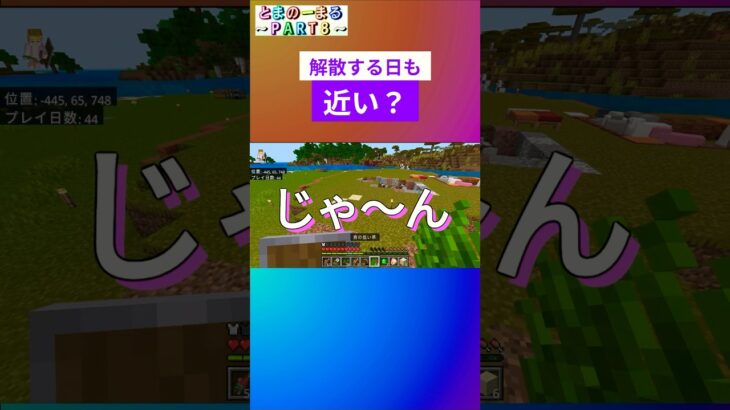 ついに解散か…!?#マイクラ #minecraft #ゲーム実況 #小2