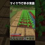 マイクラで学ぶ常識  #マイクラ  #minecraft