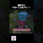 嘘とかではなくガチです#ショート #マイクラ #minecraft
