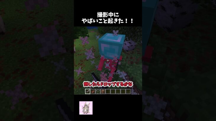 嘘とかではなくガチです#ショート #マイクラ #minecraft