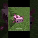 minecraft cool mods ☠️ part 306