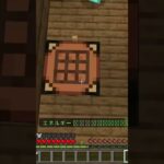 【マイクラ】ハイドアンドシークでジャンプブリッジをすると、、、？ #マイクラ #minecraft #ハイドアンドシーク #hive