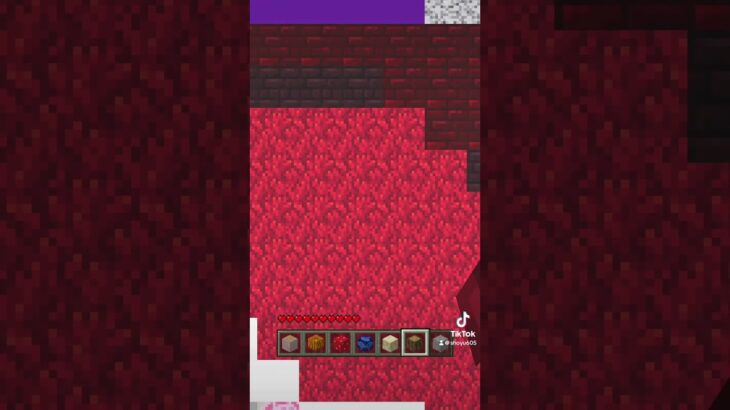 ワンピースのヤマト♥️ #マイクラ #ヤマト #ワンピース #minecraft #onepiece