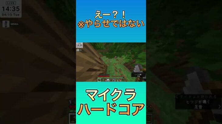 これはやらせではないだろ😎 #マイクラ #マインクラフト #minecraft #マイクラハードコア #ショート #shorts