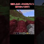ポータル作るバイト#マイクラ #minecraft #shorts
