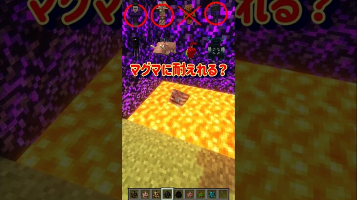 【マグマに耐えられる？】 #minecraft #マインクラフト #マイクラ #shorts