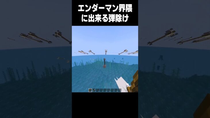 エンダーマン界隈のみに許されし弾除け #マイクラ #minecraft#高校生 #shorts #810