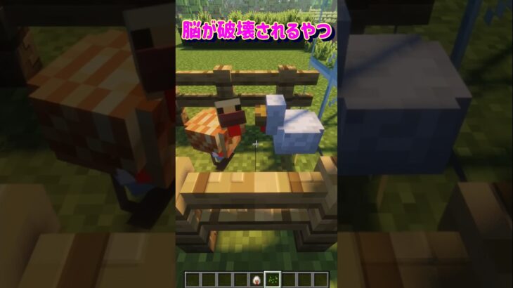 【脳が破壊されるやつ】 #minecraft #マイクラ #マインクラフト #shorts