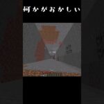 【minecraft】何かがおかしい…#minecraft  #マイクラ
