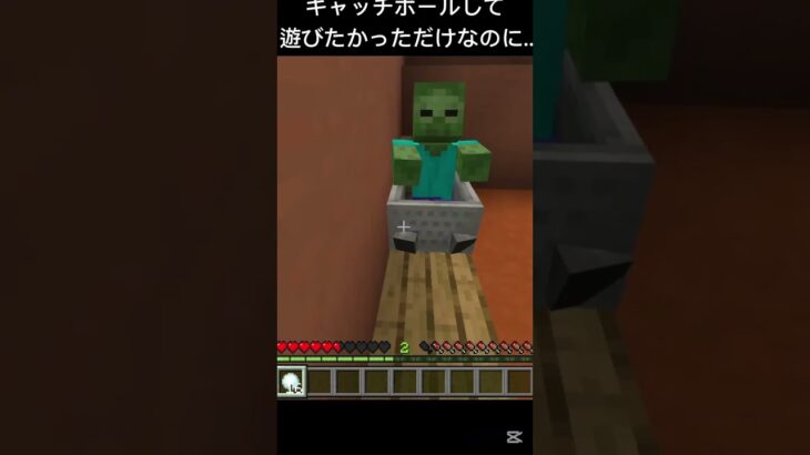 #minecraft#マイクラ#マイクラ統合版#まいくら#マインクラフト#minecraftmemes#shorts#minecraftshorts