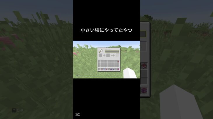 小さい頃にやってたやつ#minecraft#マイクラ#shorts #エンチャント