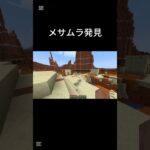 メサムラ発見 #マイクラ#minecraft#狩野英孝#shorts