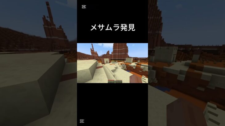 メサムラ発見 #マイクラ#minecraft#狩野英孝#shorts