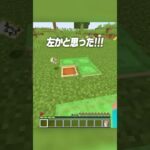 本物はどれ？？🤨 #shorts #マイクラ